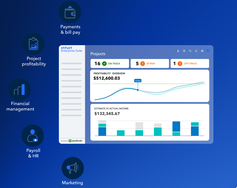 Intuit Enterprise Suite 1